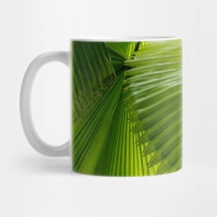 Green palm leaves Mug